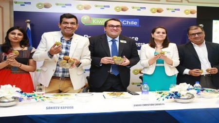 Kiwifruit from Chile to be Exported to the Indian Market