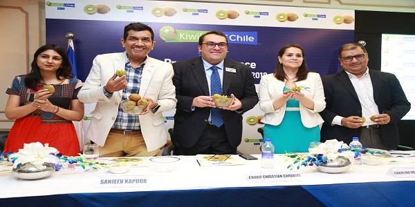 Kiwifruit from Chile to be Exported to the Indian Market