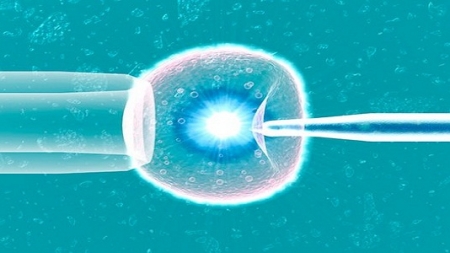 UNSW student’s pioneering artificial intelligence boosts IVF success