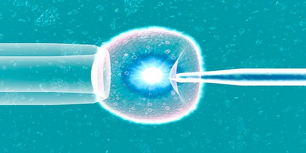 UNSW student’s pioneering artificial intelligence boosts IVF success