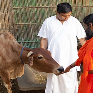 Competition in Dairy Sector to Intense as Patanjali all Set to Foray into it