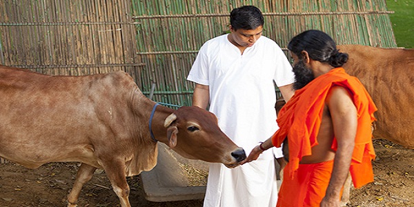 Competition in Dairy Sector to Intense as Patanjali all Set to Foray into it